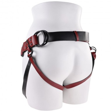 Arnés con correa rojo