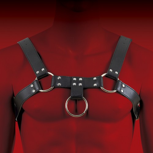 Arnés con aros de metal