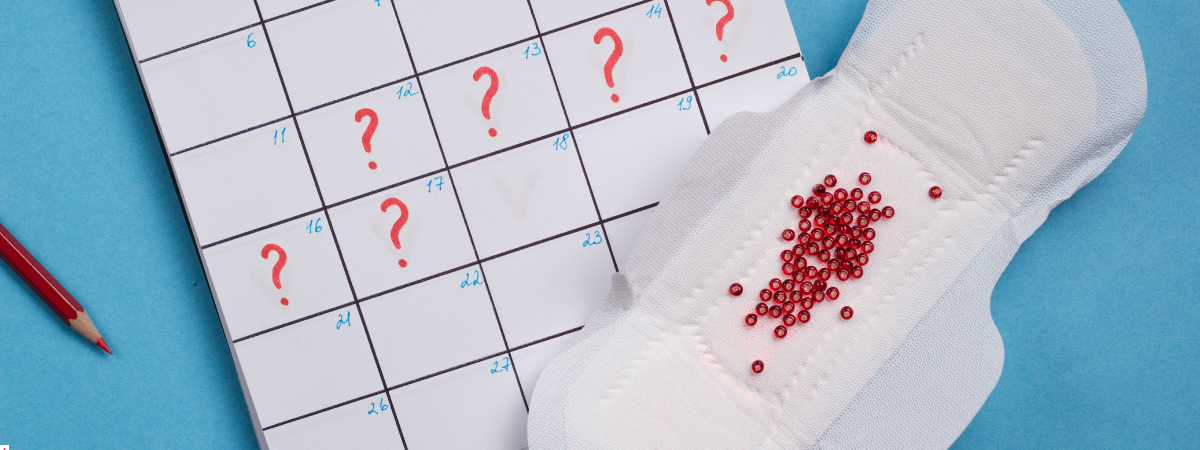 Tu ciclo menstrual y tu deseo: una guía completa fase a fase